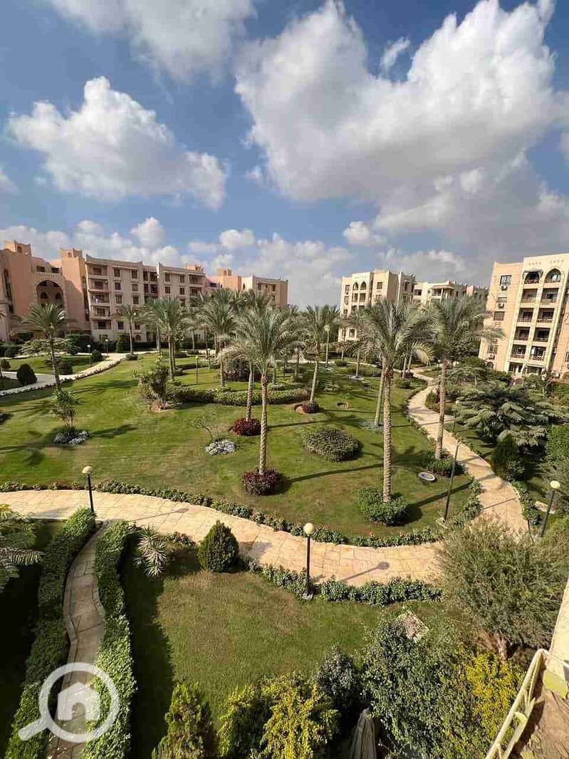 1000207565. jpg 1000207565. jpg