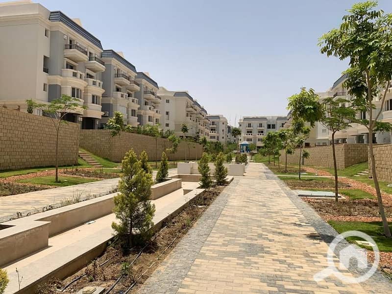 15 photo_48_2024-12-10_14-25-05. jpg