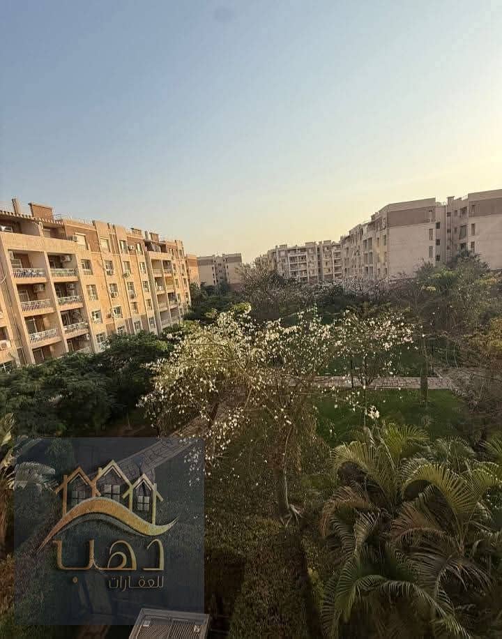 2 39b591d9-93da-4dc0-9b65-2491cfff8cee. jpg