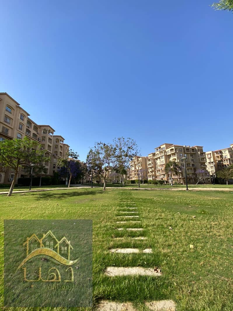 2 2951ee03-4344-4965-983d-82a13372d7ef. jpg