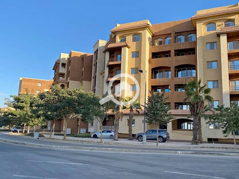 2 597236081_862438273145612_4424877737573317287_n. jpg