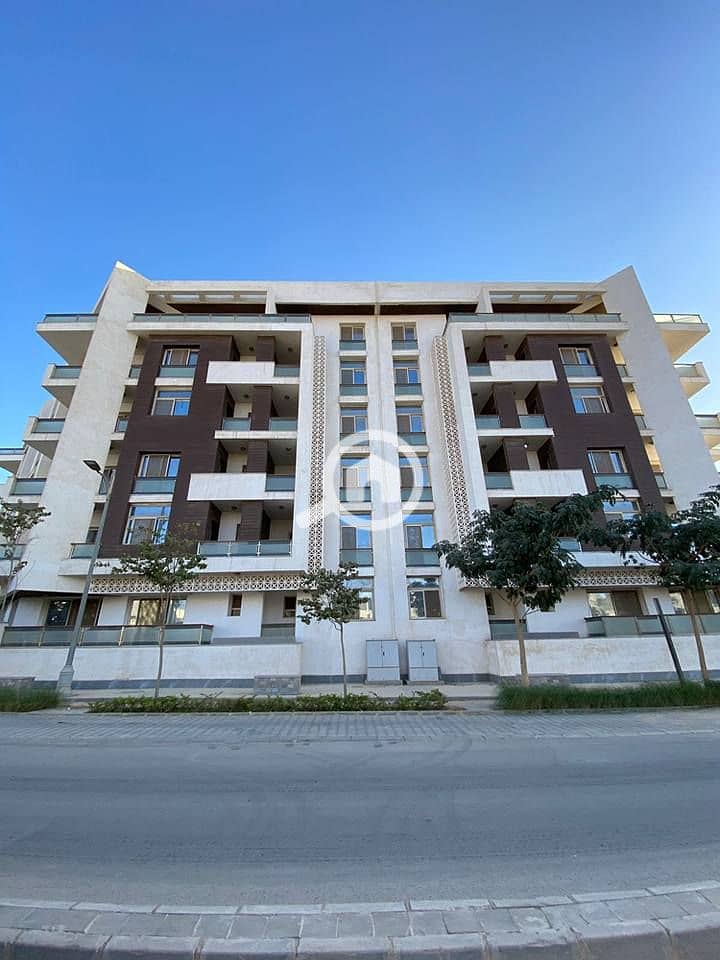 5 597441462_862436063145833_4133000606857648501_n. jpg