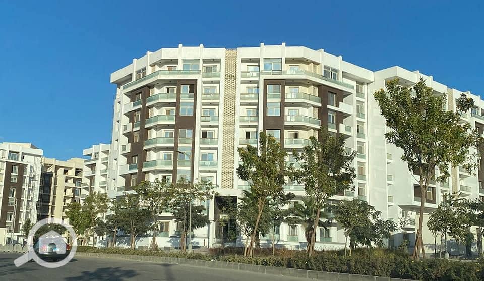 7 595670809_862436209812485_7080380354494725670_n. jpg