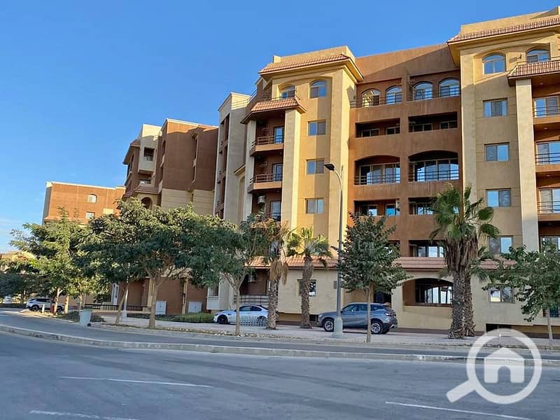 8 597236081_862438273145612_4424877737573317287_n. jpg