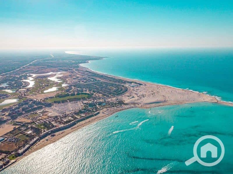 7 Untitled design (20). png