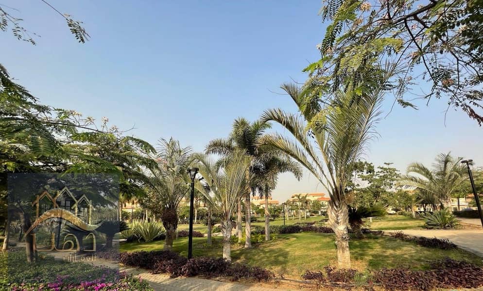 2 WhatsApp Image 2025-11-12 at 11.11. 10_ac89ce41. jpg