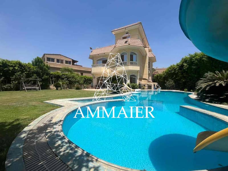 ec941048-78f2-4328-be9d-ea383b257899. jpg ec941048-78f2-4328-be9d-ea383b257899. jpg