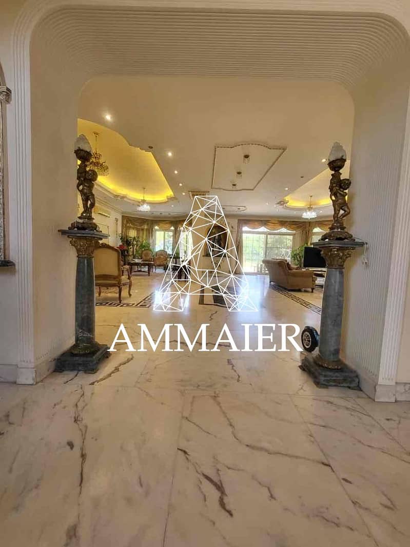 2 80bd2a58-9050-4be5-9d1a-297f1f633abe. jpg