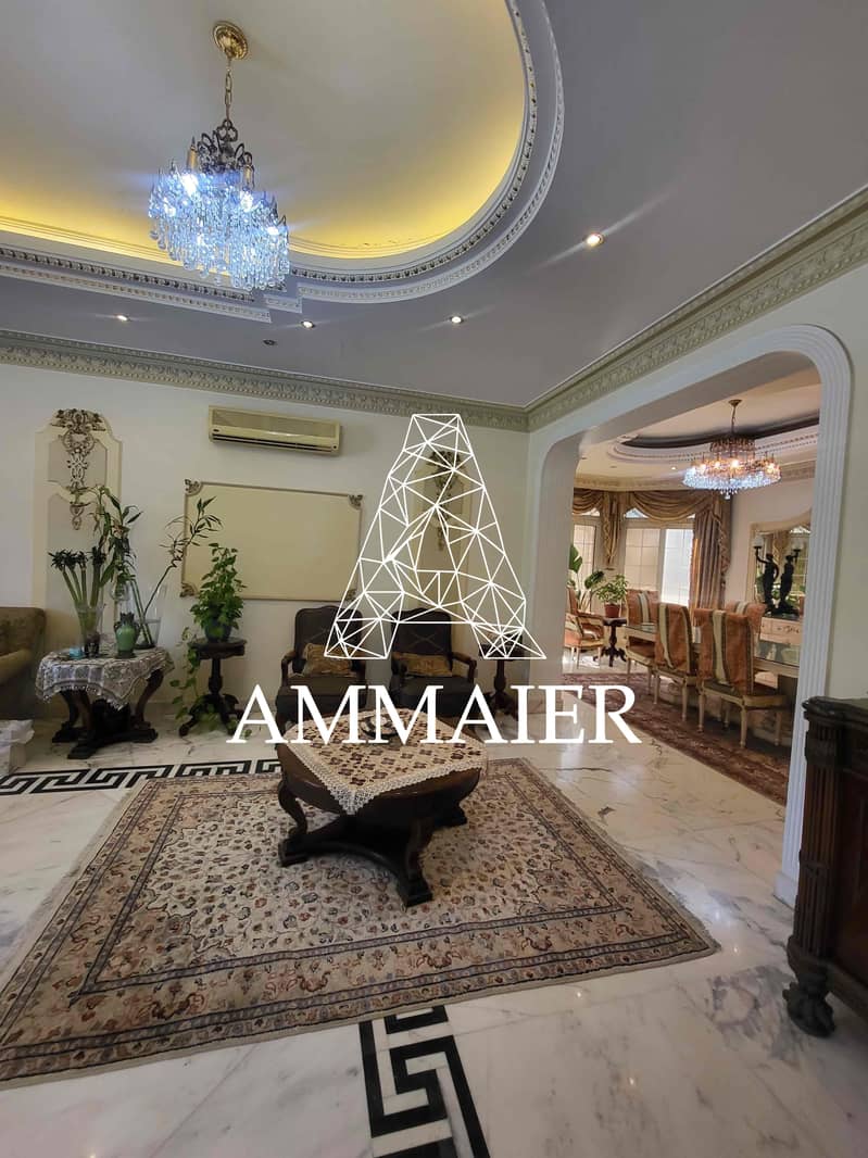 6 672ff101-e80a-46f0-851e-6cdf16712f2a. jpg