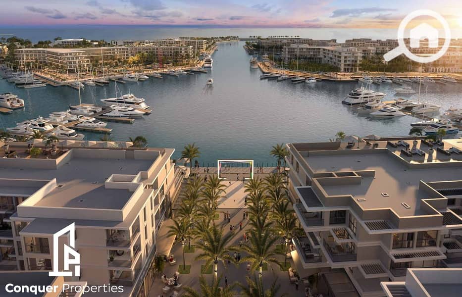 16 Untitled design - 2024-04-01T135935.558 - Copy. png