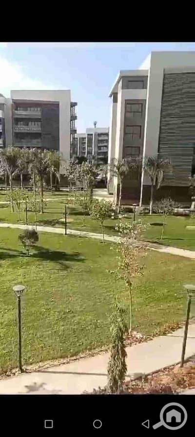 3 Bedroom Apartment for Sale in Madinaty, Cairo - 1001429439. jpg 3 Bedroom Apartment for Sale in Madinaty, Cairo - 1001429439. jpg