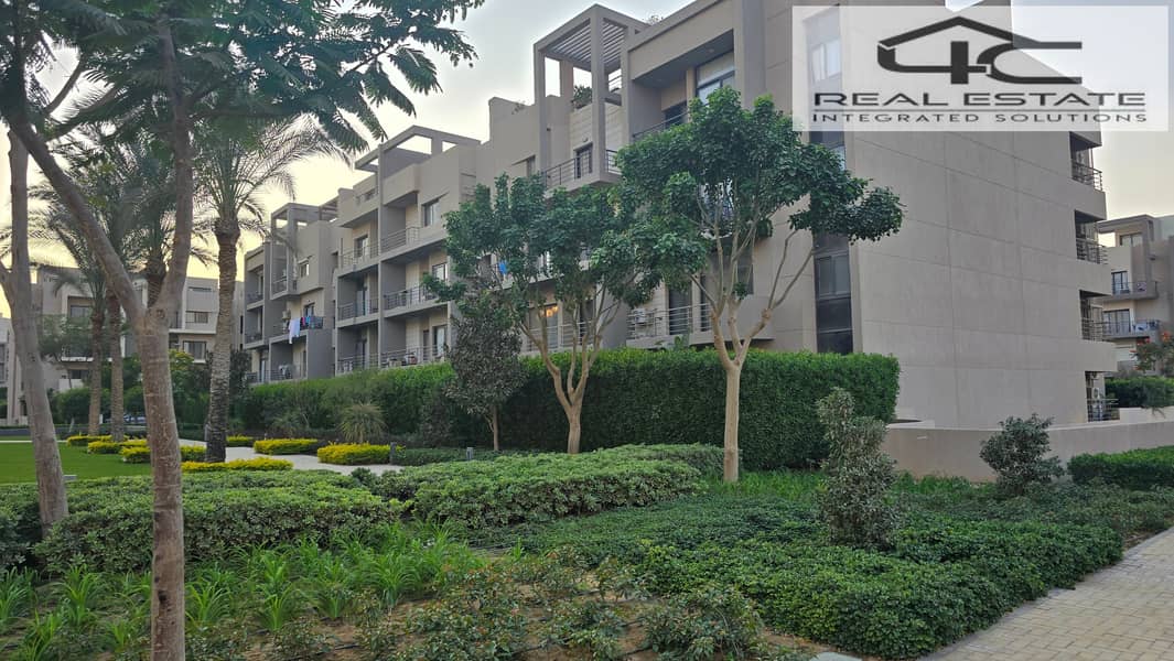 5 20251117_161458. jpg