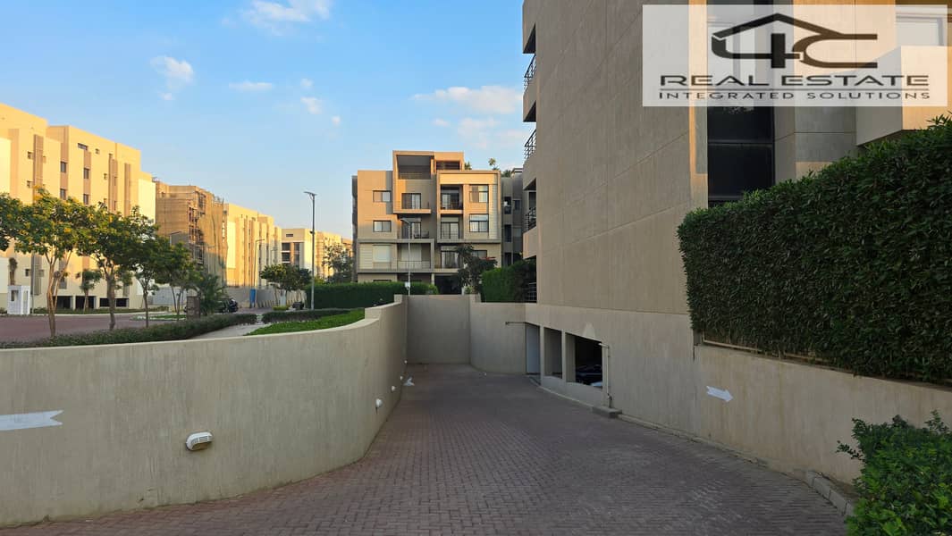 6 20251117_161504. jpg