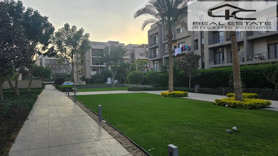 7 20251117_161528. jpg