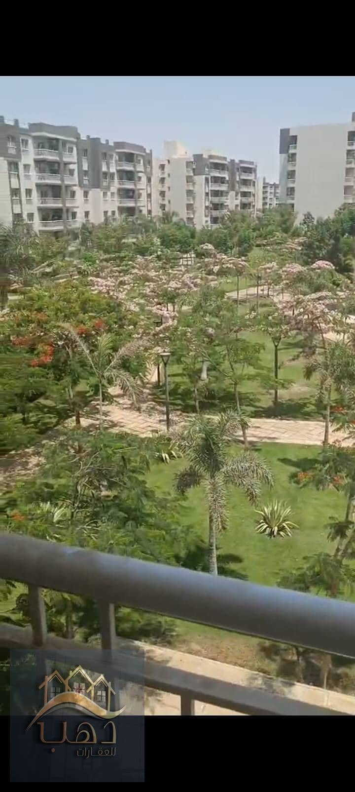 574576721_852891110648092_146350190166216690_n. jpg 574576721_852891110648092_146350190166216690_n. jpg