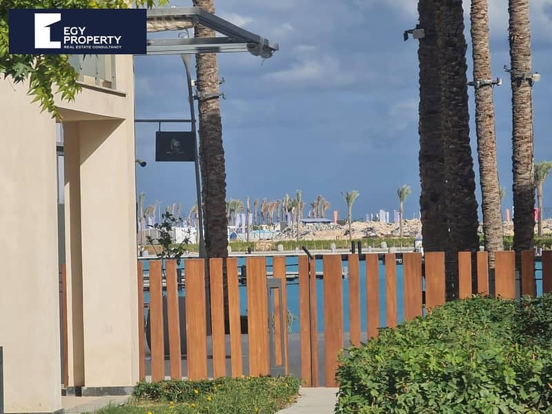 3 _files_1000049919. jpg