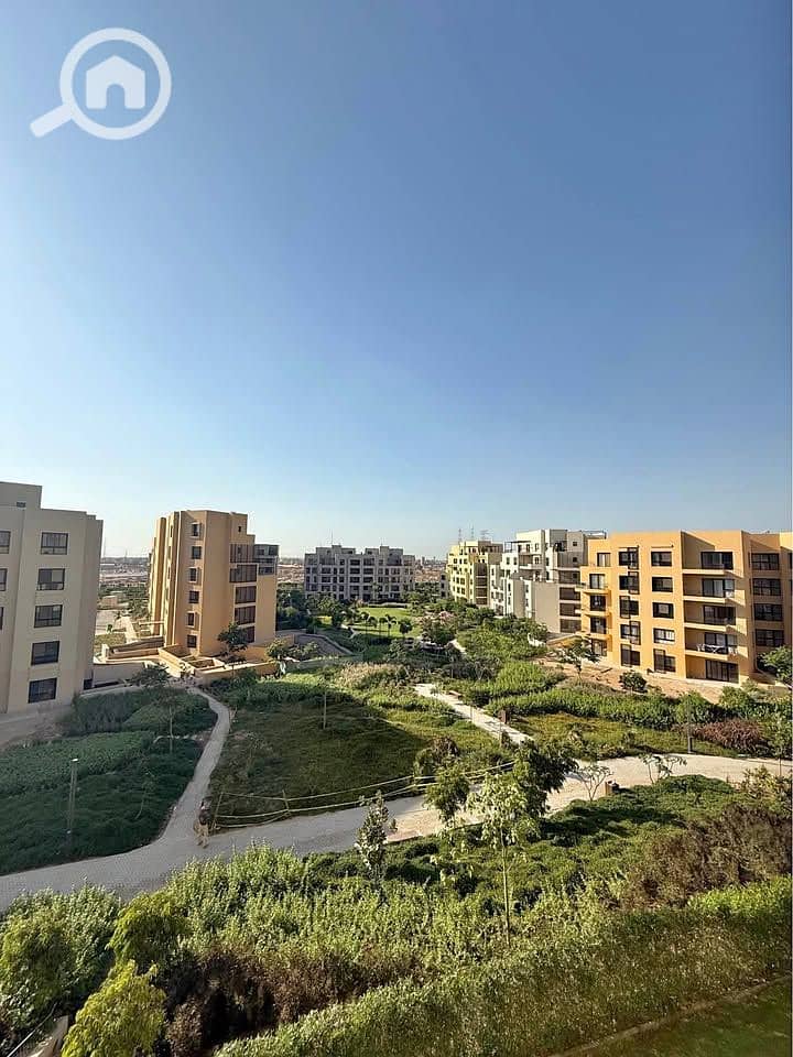 8 521679788_1242798437581881_4661344182352544968_n. jpg