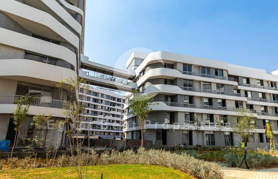 bloom fields live shots (Custom). jpg bloom fields live shots (Custom). jpg