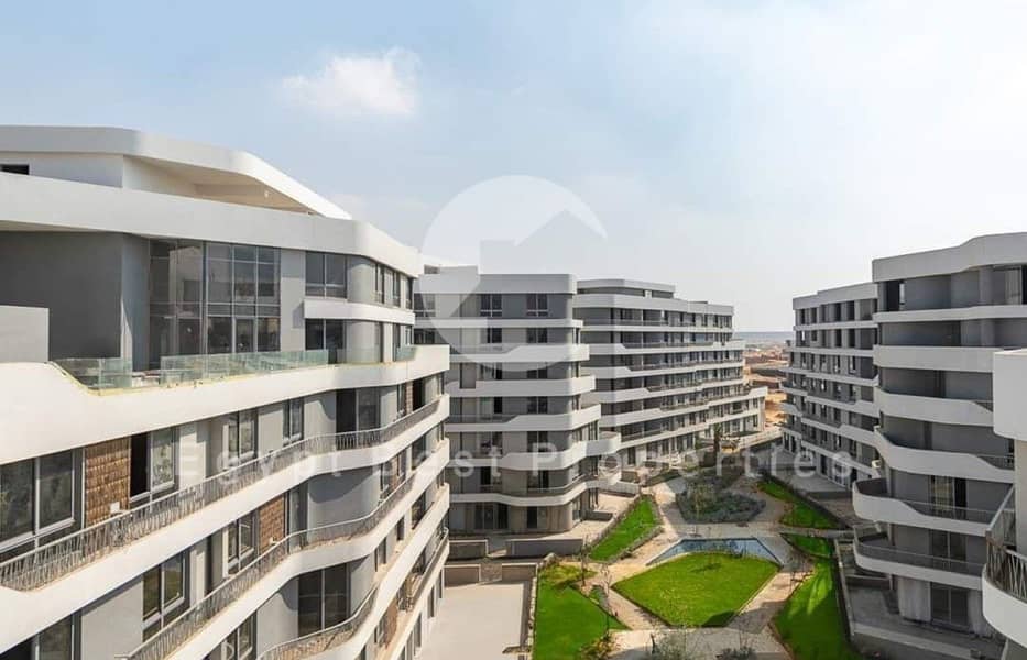 5 bloom fields live shots6 (Custom). jpg