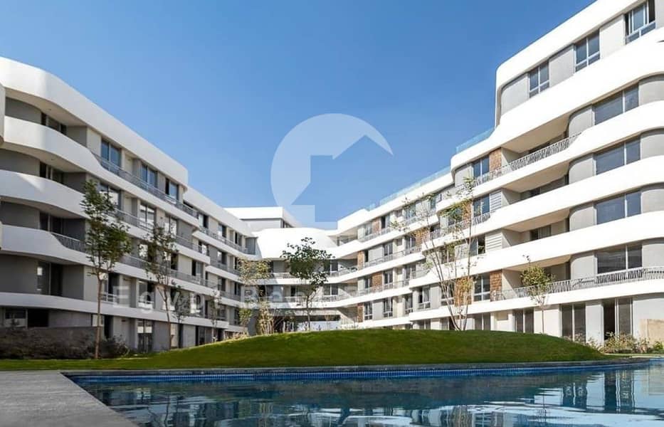 6 bloom fields live shots66 (Custom). jpg