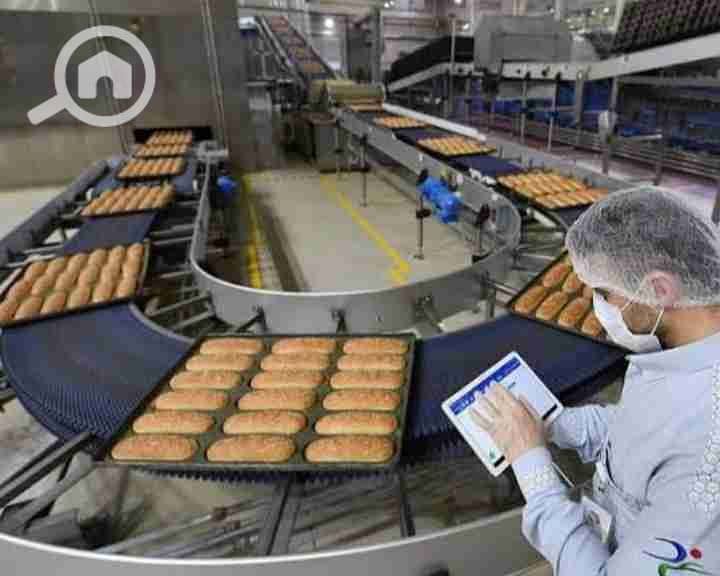 1000338732. jpg 1000338732. jpg