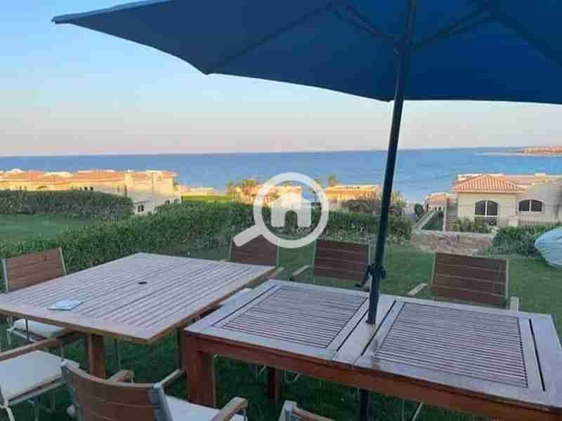 FB_IMG_1672911931488. jpg FB_IMG_1672911931488. jpg