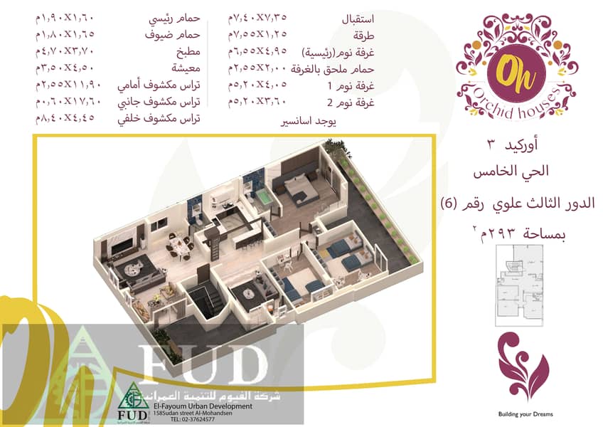 2 اوركيد 3 الحي 5. jpg