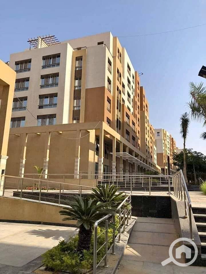 4 473220553_1347368929633210_3412537613646077141_n. jpg