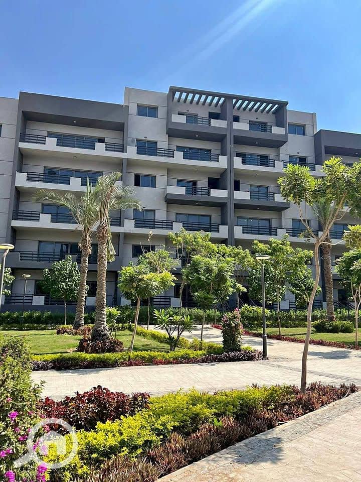 4 515464524_1262067502068063_5793005470250293644_n. jpg