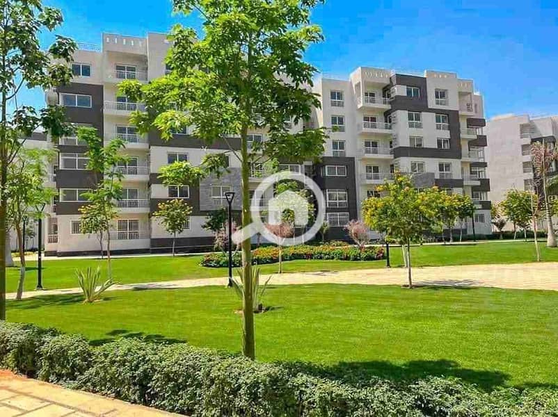 1000524980. jpg 1000524980. jpg