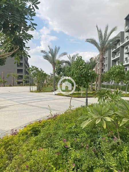 6 480459188_2600168896861062_2463238863796537092_n. jpg