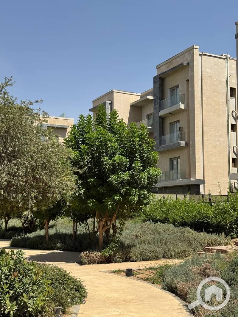 5 photo_2025-07-17_18-58-45. jpg