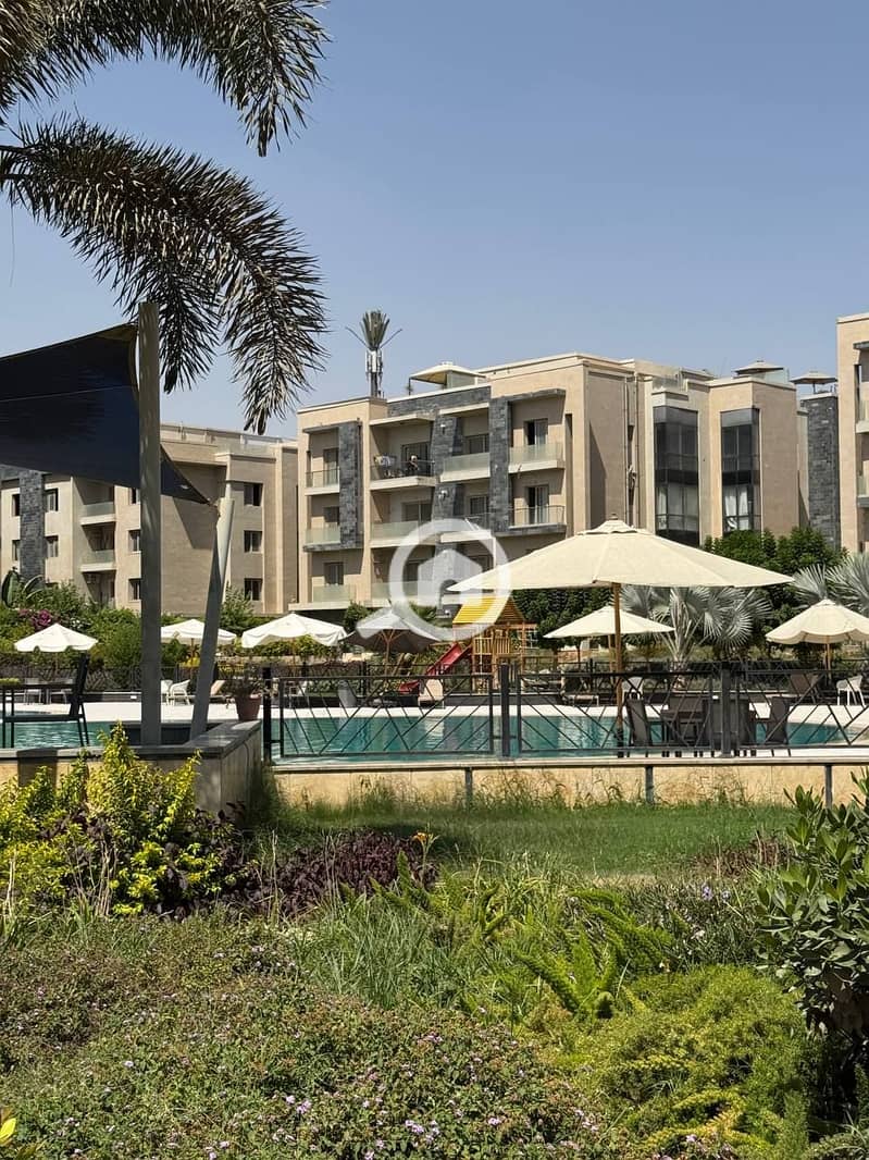 6 photo_2025-07-17_18-58-48. jpg