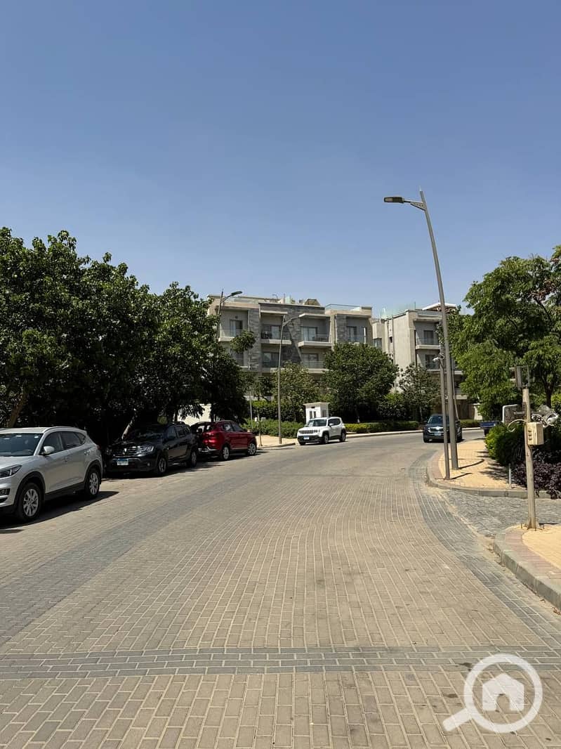 10 photo_2025-07-17_19-00-02. jpg