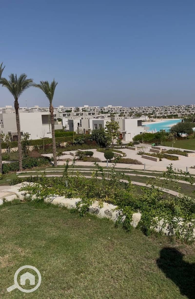 5 photo_2025-02-21_18-50-16. jpg