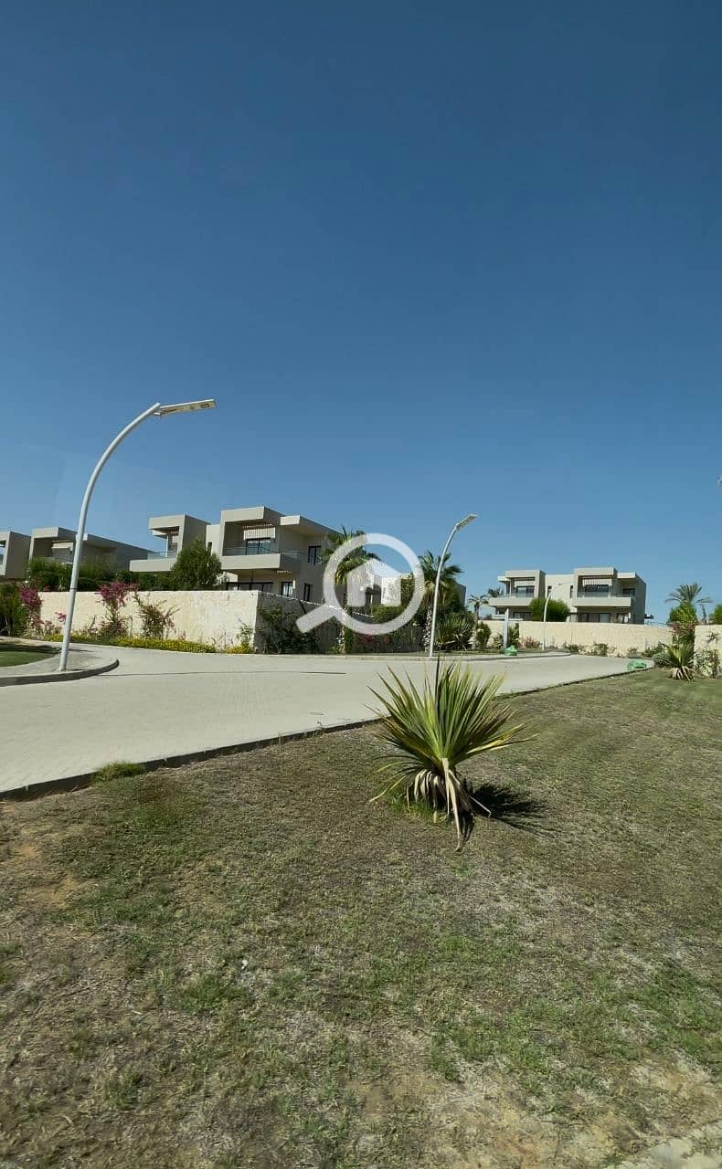 7 photo_2025-02-21_18-50-14. jpg