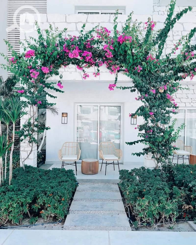 9 568237524_122147410880853868_2225221659812344735_n. jpg