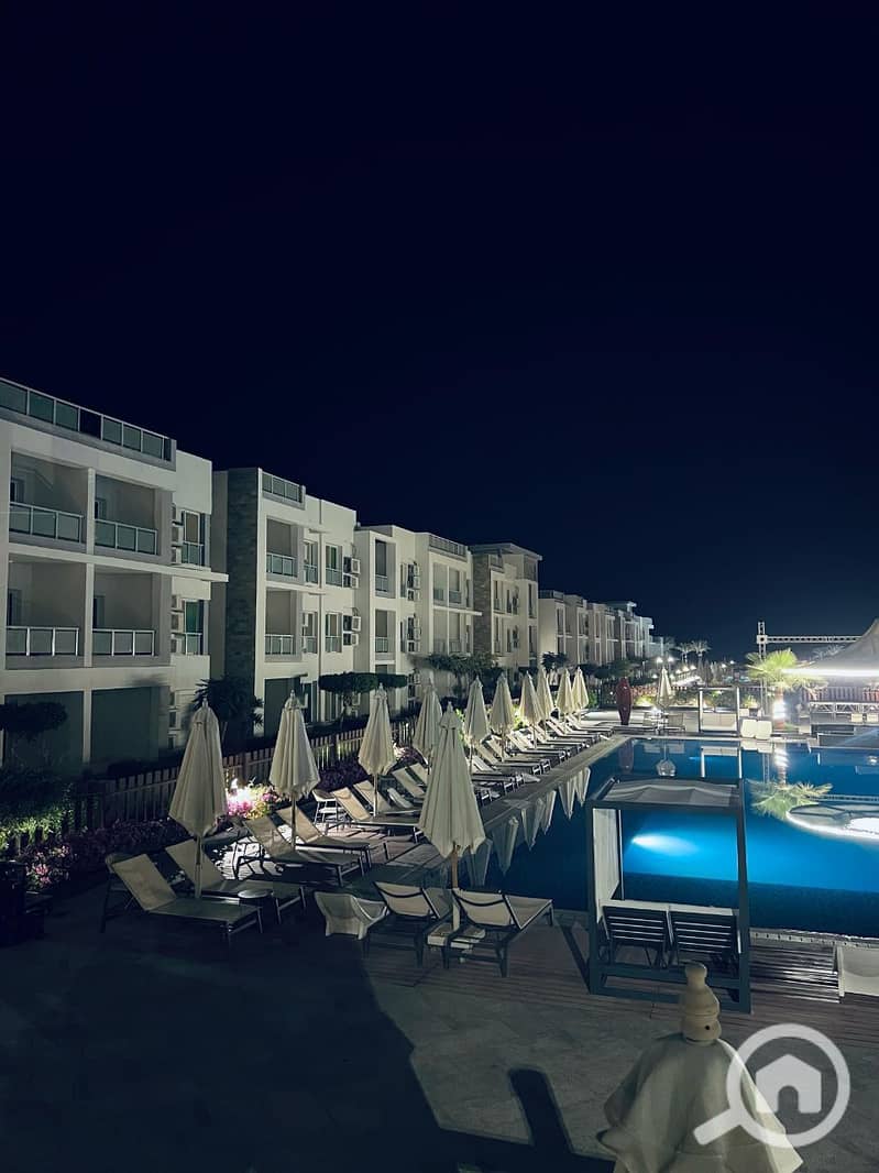 photo_2025-02-19_06-00-04. jpg