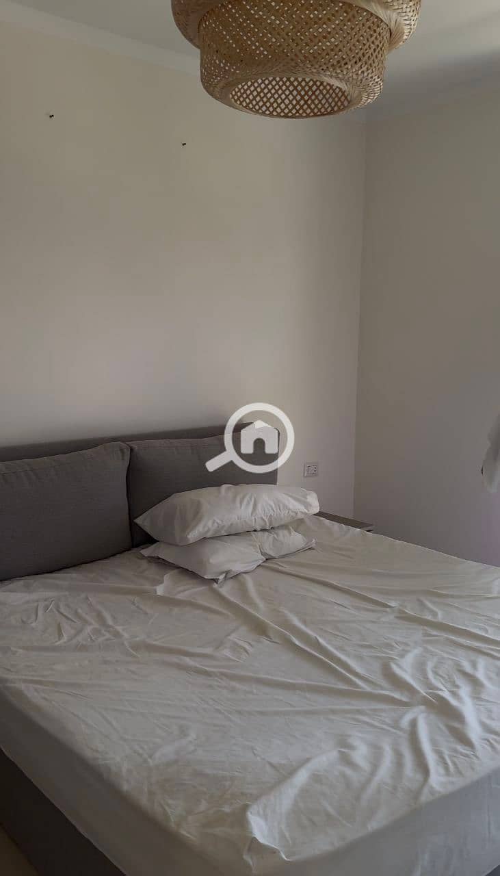 2 photo_2025-01-20_17-19-39. jpg