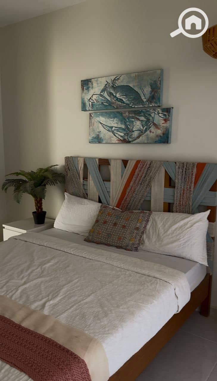 3 photo_2025-01-31_17-08-16. jpg