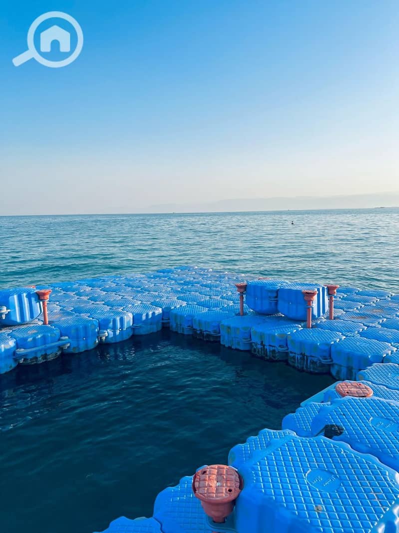 4 photo_2025-02-19_06-00-08. jpg