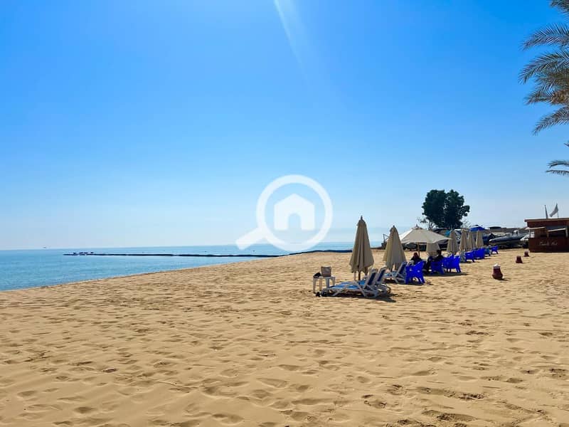 7 photo_2025-02-19_06-00-42 (2). jpg