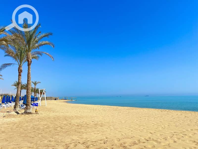 9 photo_2025-02-19_06-00-43. jpg