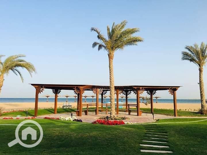 10 photo_2025-02-21_18-54-16. jpg