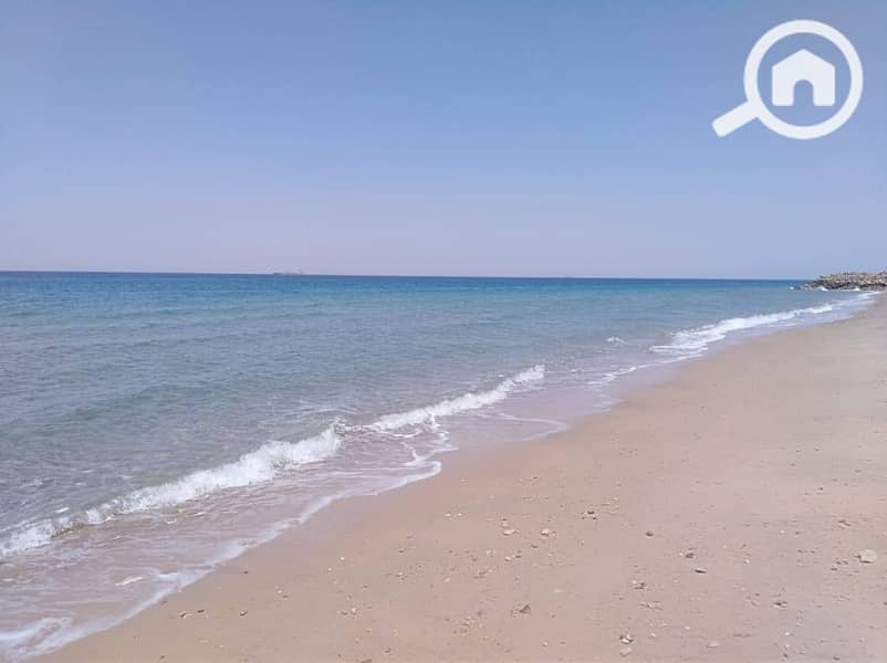 8 506892868_122115941258877090_3834891679927820649_n. jpg