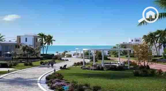 10 images - 2025-12-10T025938.483. jpeg