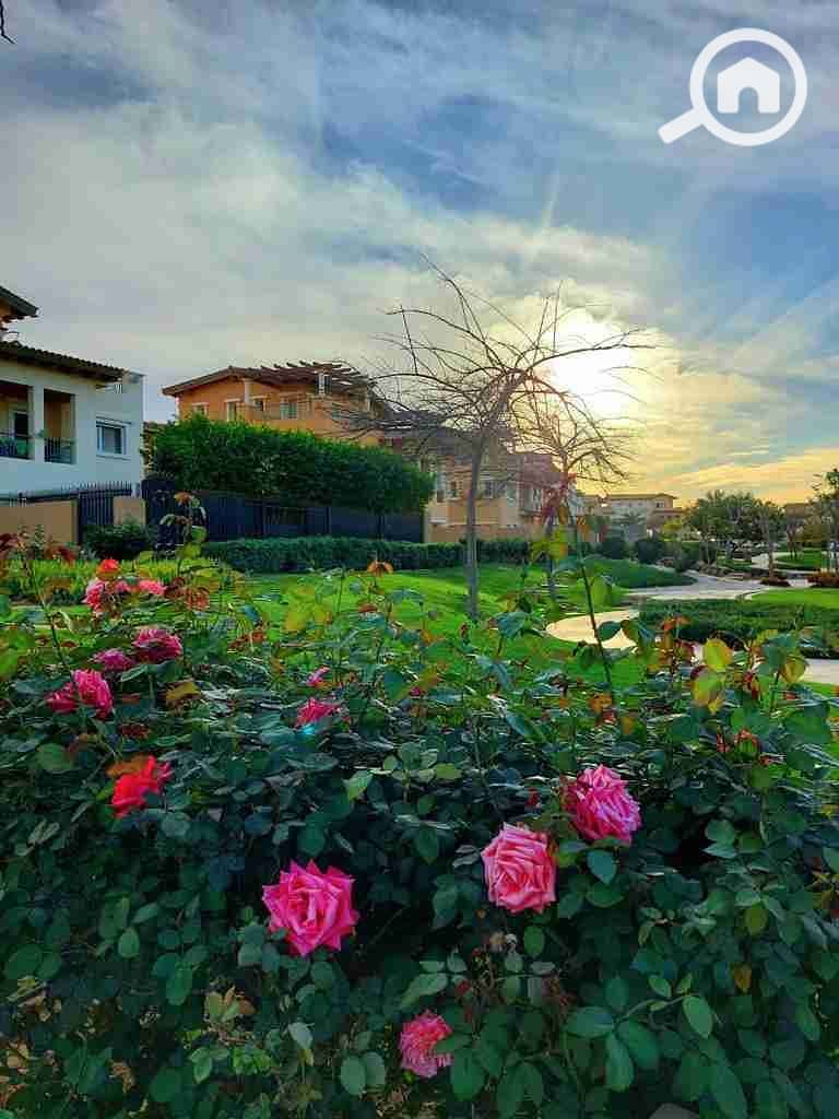 5 IMG-20221003-WA0083. jpg