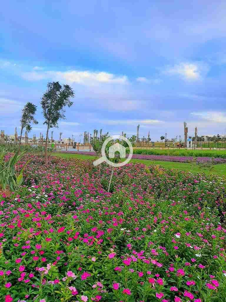 9 IMG-20221003-WA0065. jpg