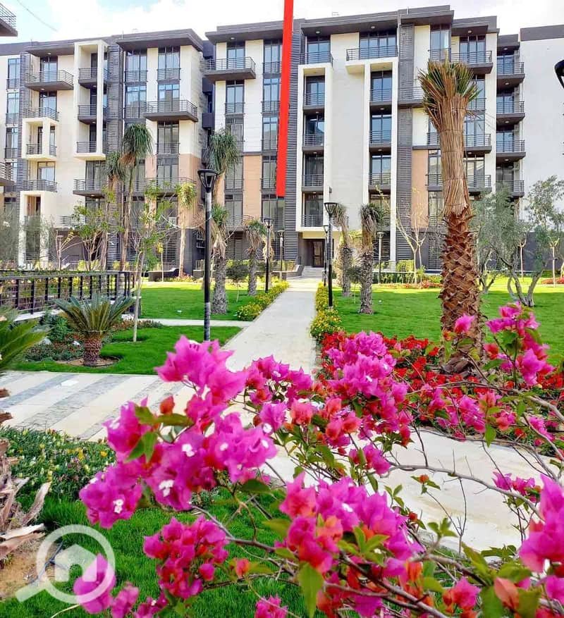 13 257eb8d3-4ac3-41f0-98f9-aabf3eae09ff. jpg