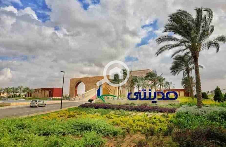 1001026617. jpg 1001026617. jpg